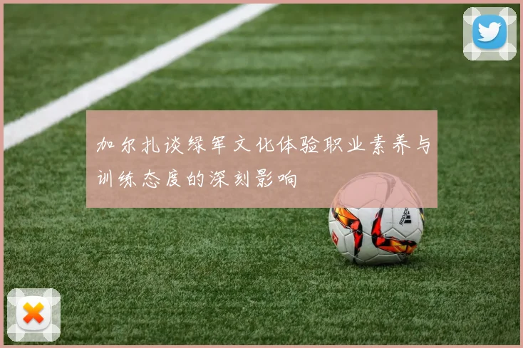 加尔扎谈绿军文化体验职业素养与训练态度的深刻影响