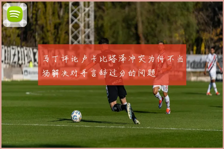 马丁评论卢卡比塔泽冲突为何不当场解决对手言辞过分的问题
